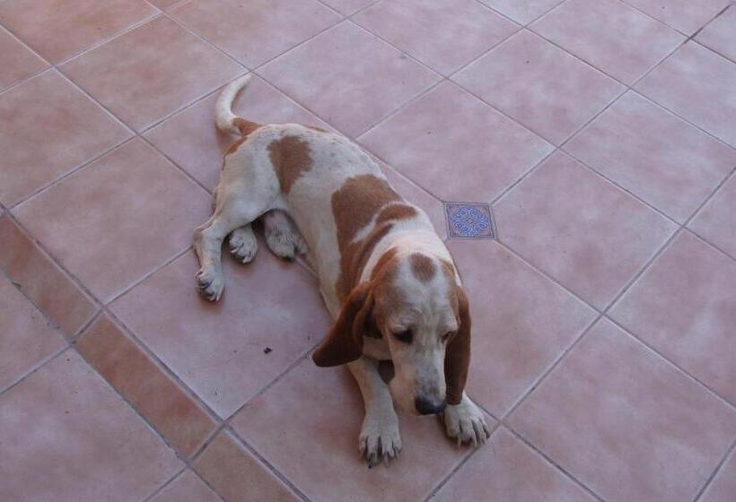 ユースホステル Intiaconcagua Habitaciones Familiares