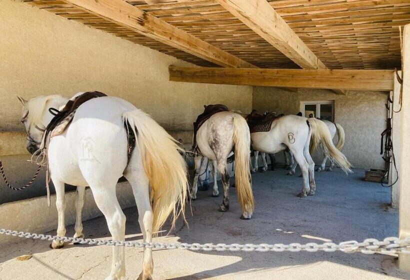 تختخواب و صبحانه Manade Des Baumelles