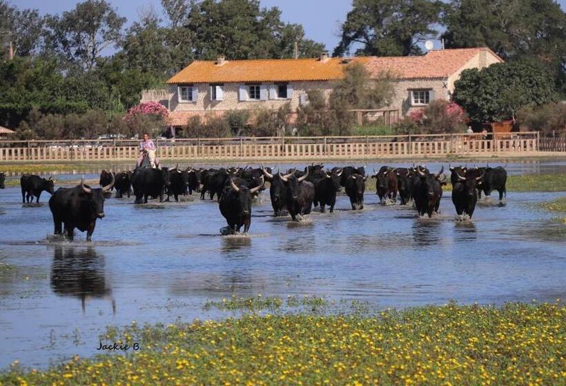 تختخواب و صبحانه Manade Des Baumelles