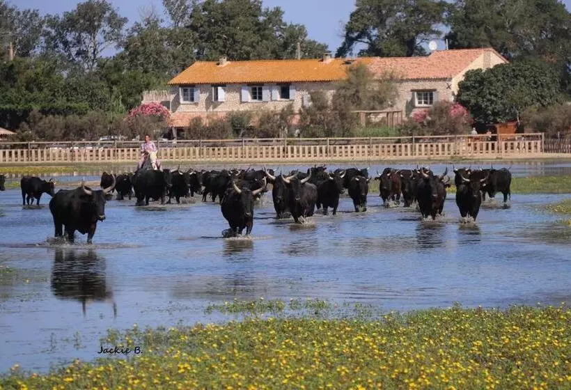 تختخواب و صبحانه Manade Des Baumelles