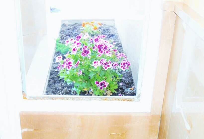 Herberg Martin House & Granada