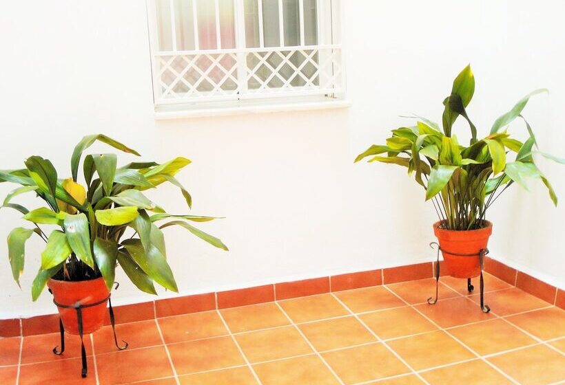 Herberg Martin House & Granada