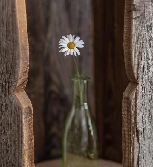 Отель Garni Zimmerhofer