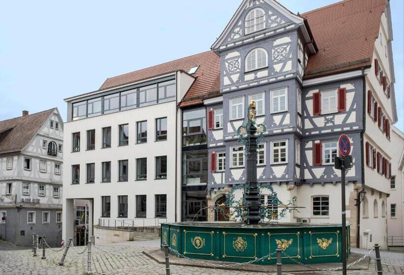 فندق Pension Gino