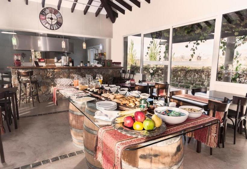 בית מלון כפרי Villa Mansa