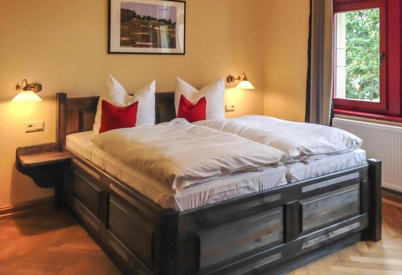 Отель Waldschlosschen Wangen