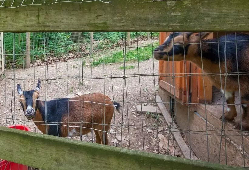 Charming Manheim Cottage W/ On Site Animal Viewing