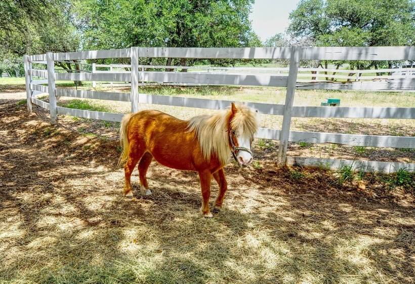 Rustic Elegant Cabin: Deck, Near Lake Travis!
