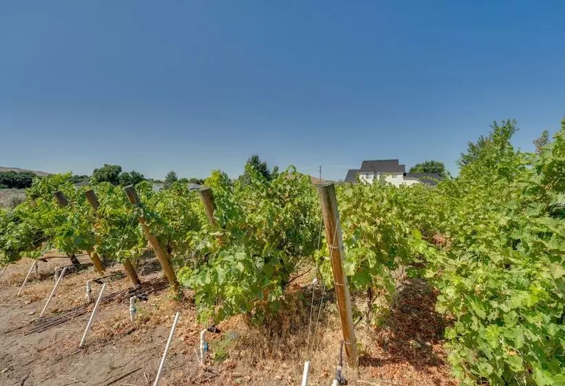 West Richland Home W/ Vineyard & Mountain Views!