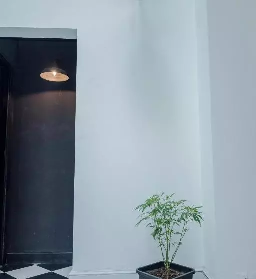 هاستل Ahivá Espacio Temporal