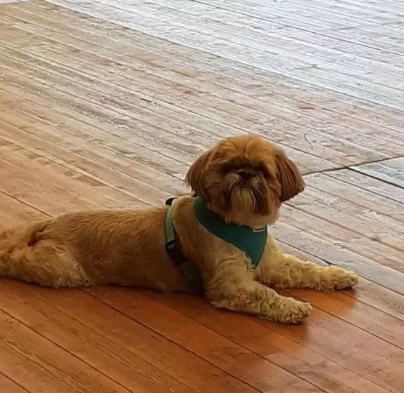 Aamiaismajoitus (B&B) Le Presbytère Chambre D Hôtes