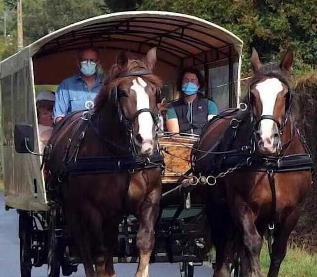 Hotelli Chez Jollyjune