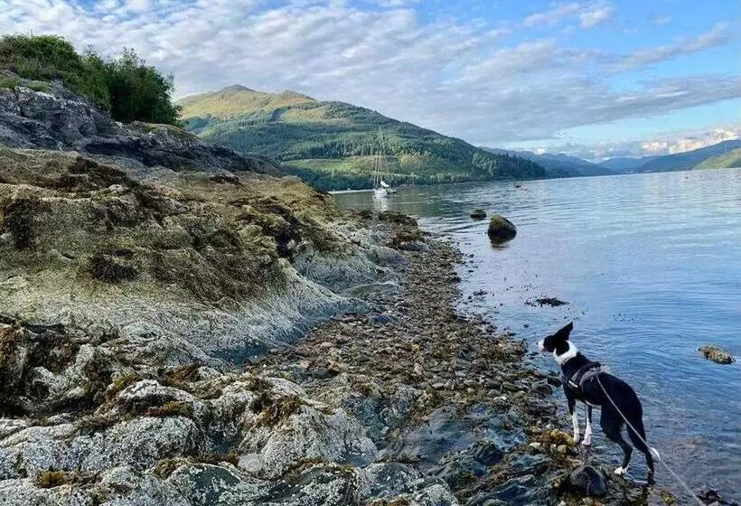 Cottage In Kilmun, Argyll   2 Bedrooms, Sleeps 2