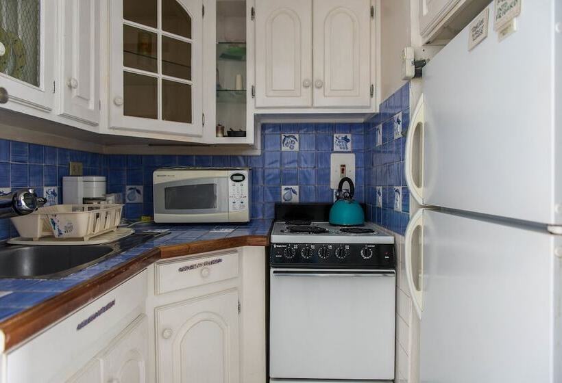 هتل Blue Lagoon Beach Studio At Montego Club Resort