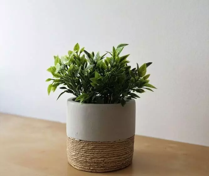 ペンション Sunao