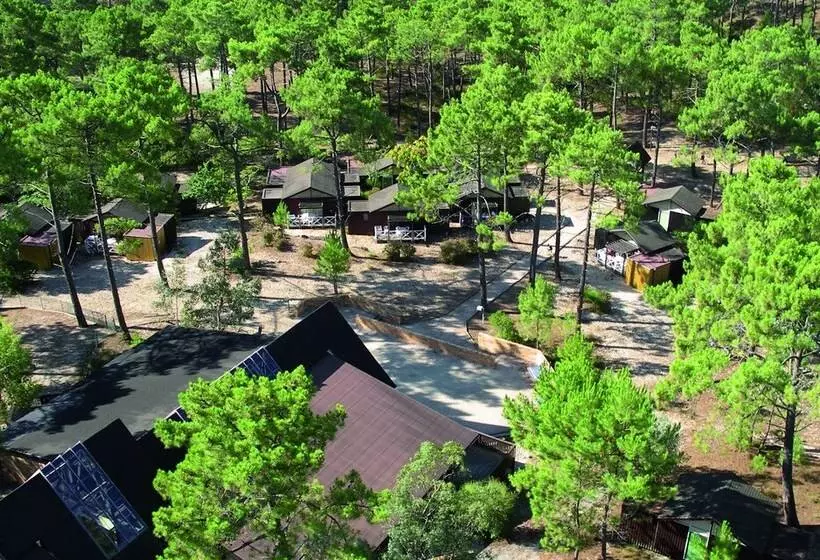 Lomakeskus Les Oyats Sylvadoures