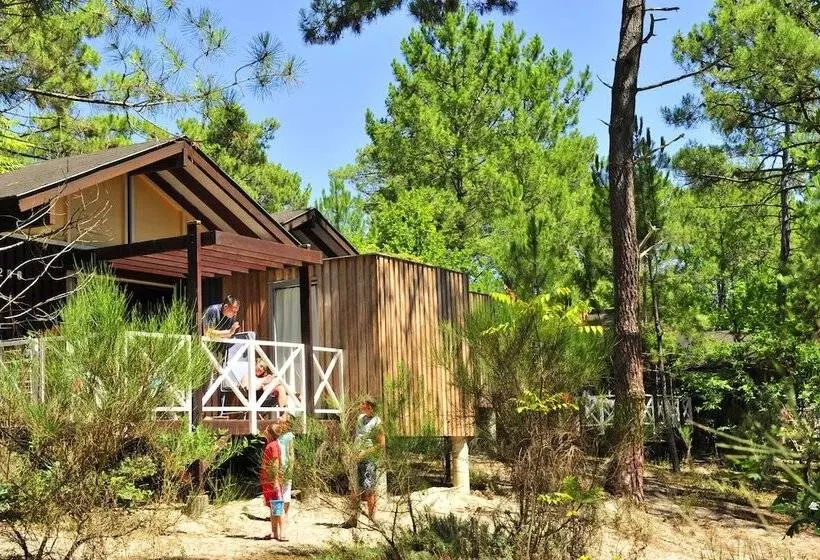 Lomakeskus Les Oyats Sylvadoures