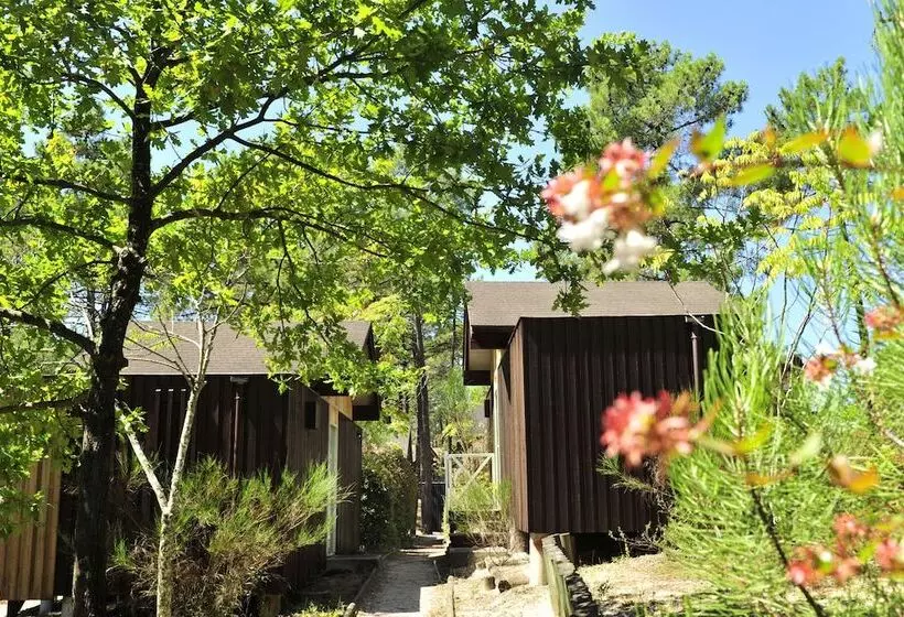 Lomakeskus Les Oyats Sylvadoures