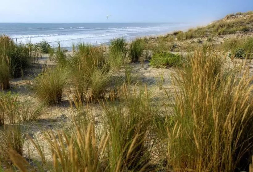 Lomakeskus Les Oyats Sylvadoures