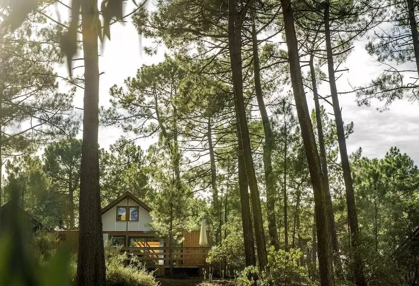 Lomakeskus Les Oyats Sylvadoures