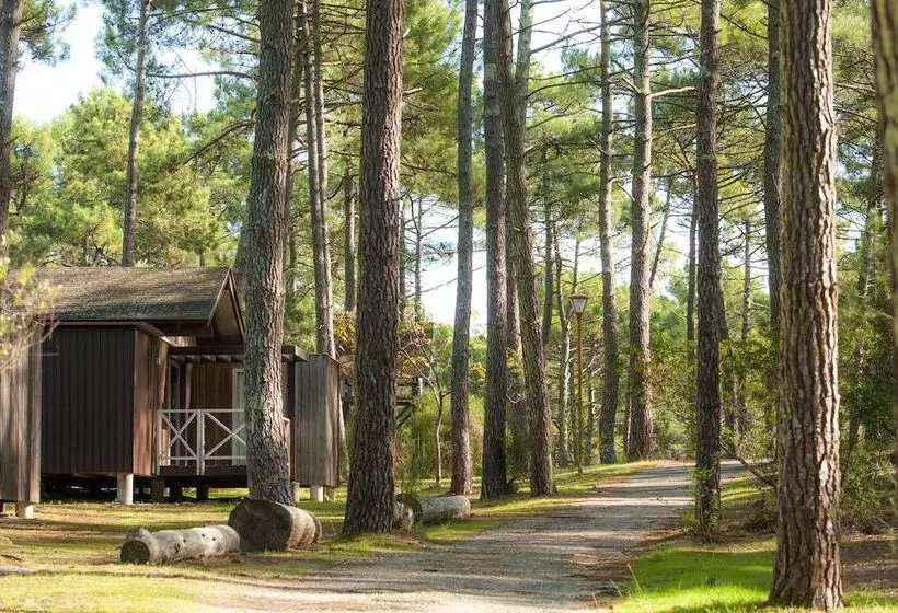 Lomakeskus Les Oyats Sylvadoures