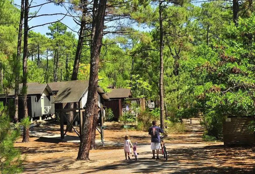 Lomakeskus Les Oyats Sylvadoures