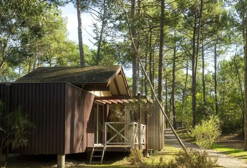 Lomakeskus Les Oyats Sylvadoures