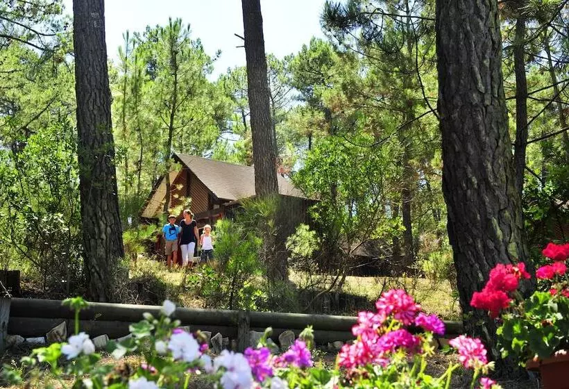 Lomakeskus Les Oyats Sylvadoures