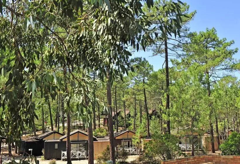 Lomakeskus Les Oyats Sylvadoures