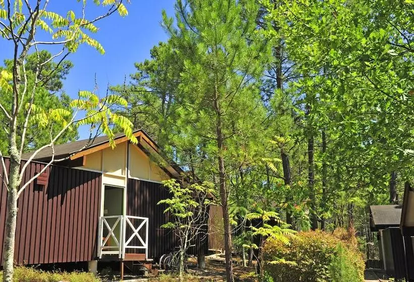 Lomakeskus Les Oyats Sylvadoures