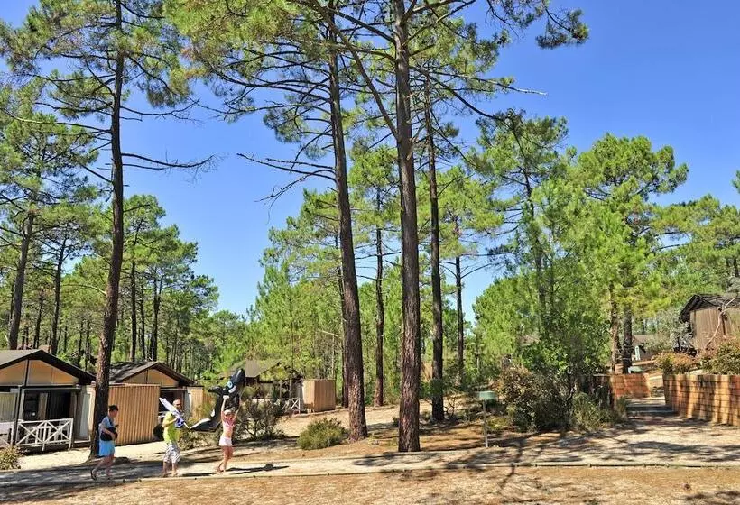 Lomakeskus Les Oyats Sylvadoures