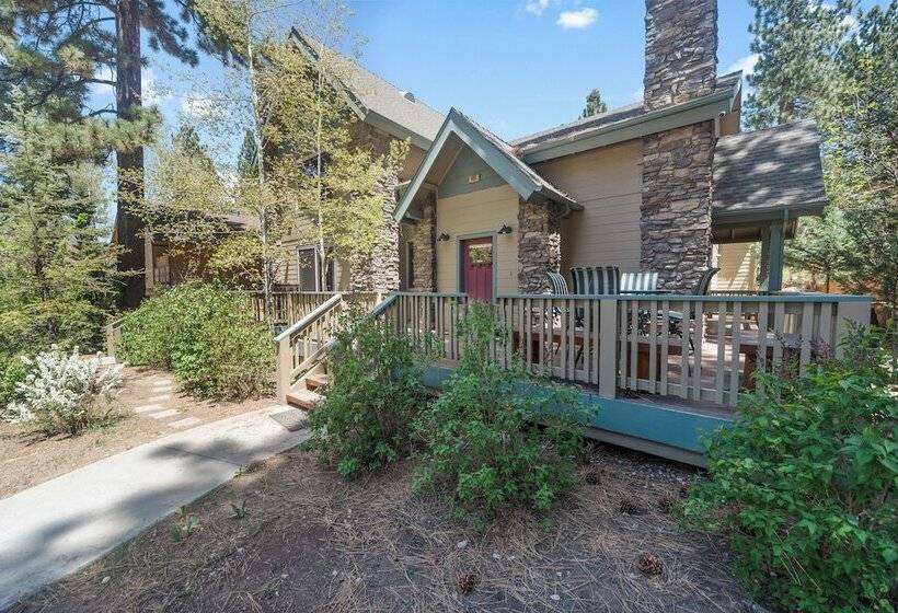 Summit Shooting Star 2