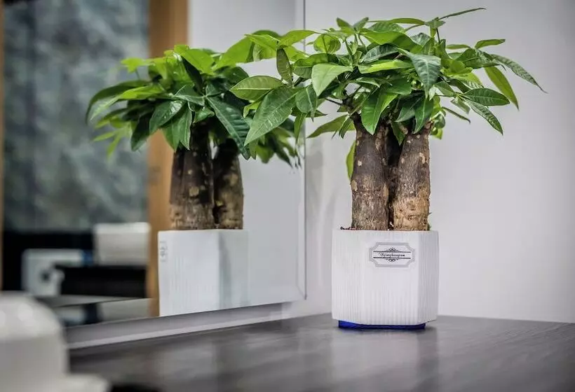 هتل A&j Kampot Boutique