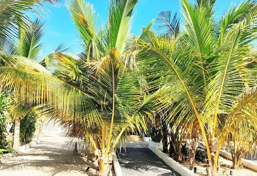 ホテル Imara Boutique