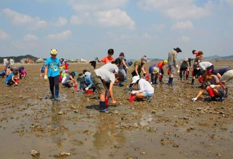 Buan Bada Punggyeong Pension