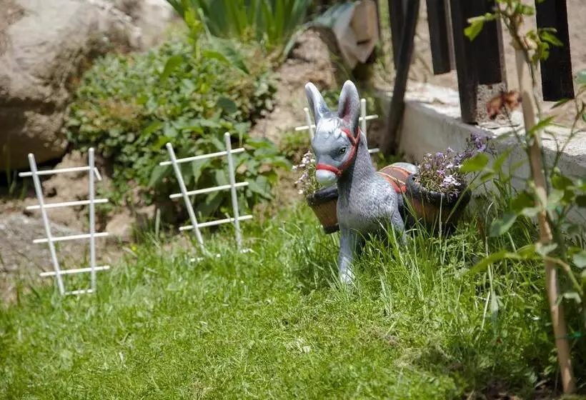 Majatalo къща за гости сиана