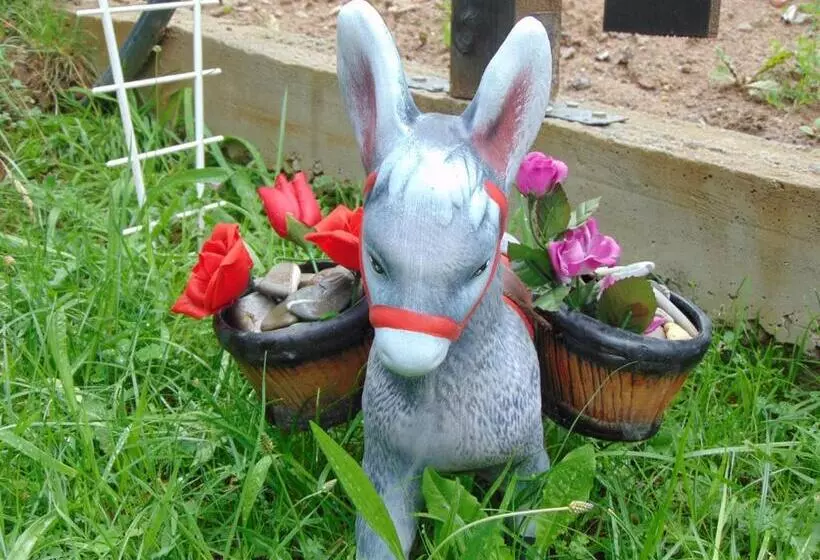 Majatalo къща за гости сиана