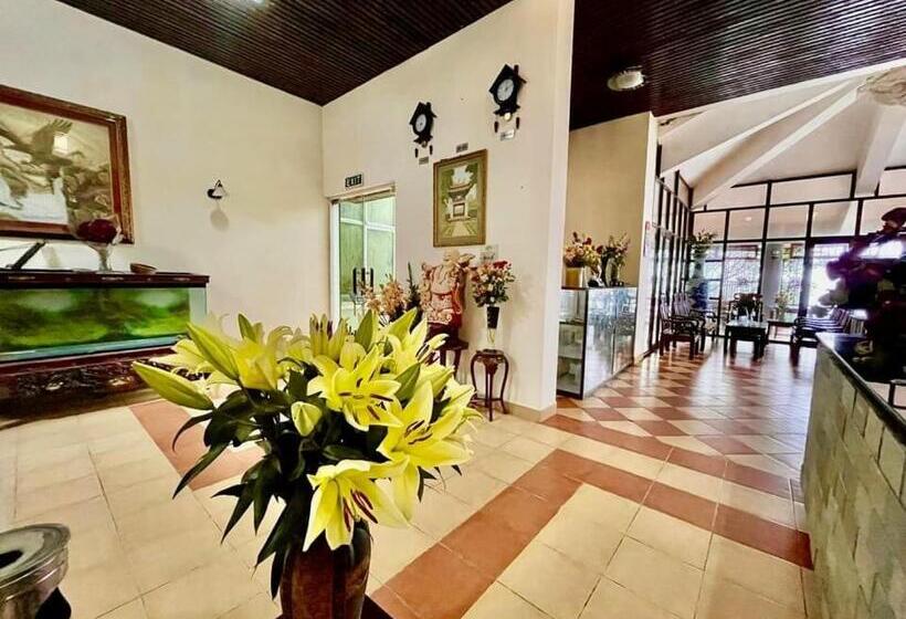 پانسیون An Phú Motel Tam đảo