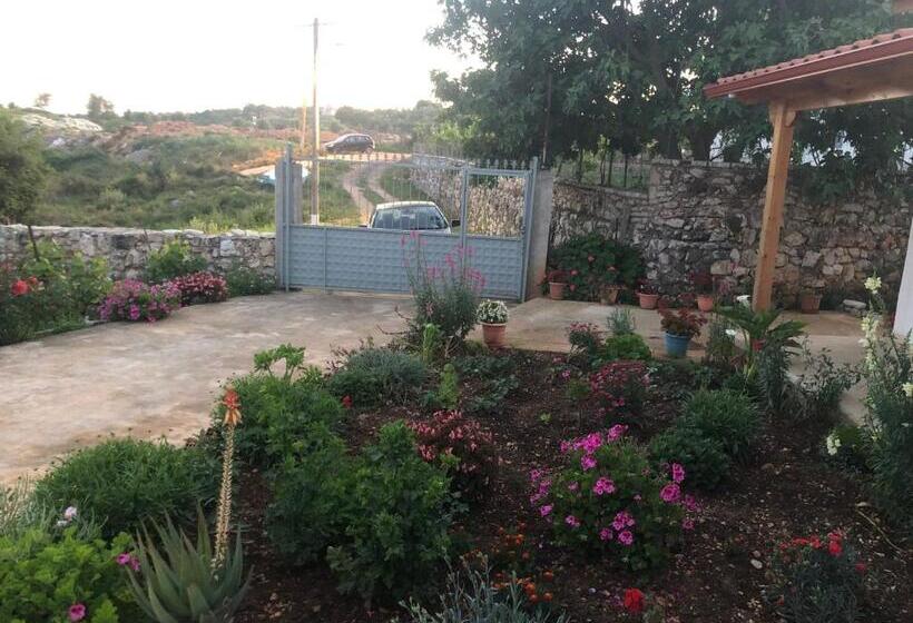 پانسیون Nino S Rooms