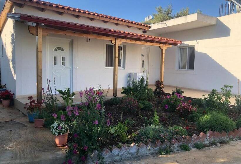 پانسیون Nino S Rooms