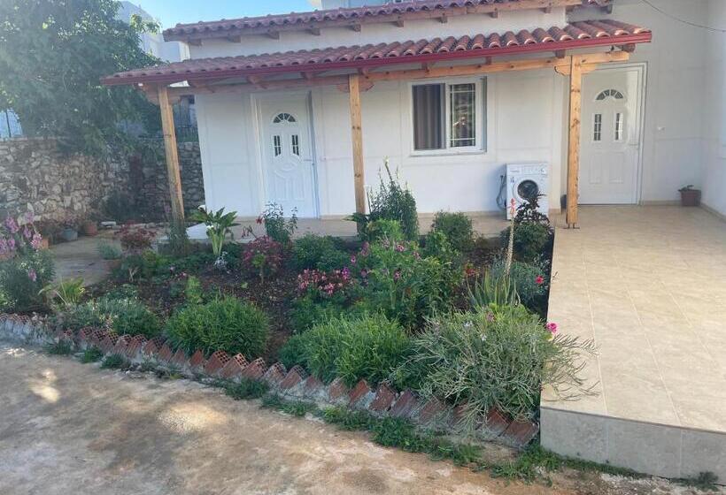 پانسیون Nino S Rooms