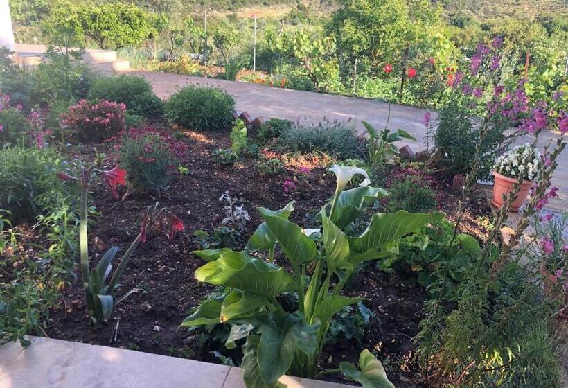 پانسیون Nino S Rooms