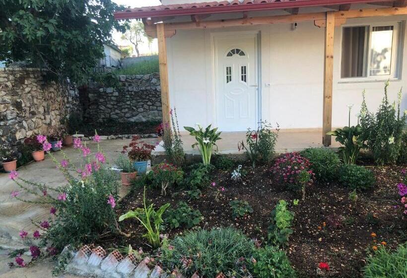 پانسیون Nino S Rooms