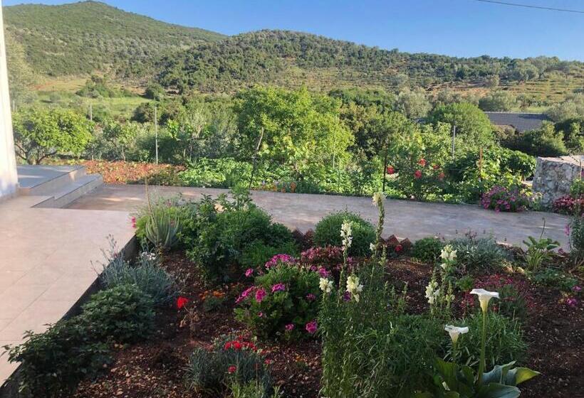 پانسیون Nino S Rooms