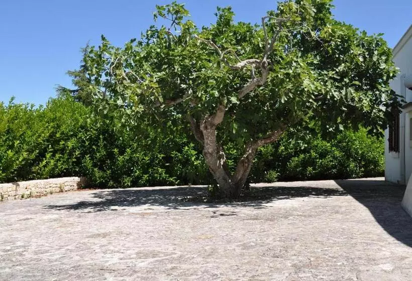 B&b Villa Rosanna