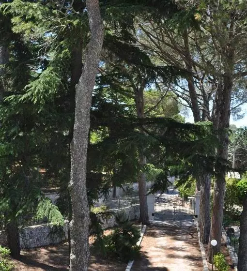 B&b Villa Rosanna