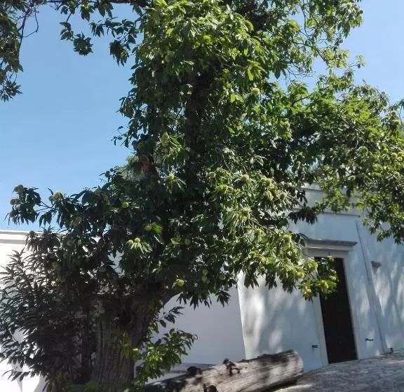 B&b Villa Rosanna