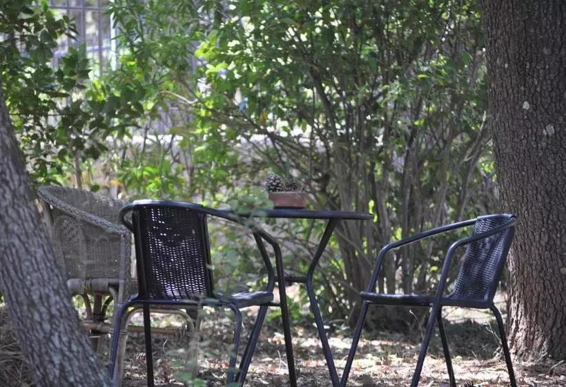 B&b Villa Rosanna