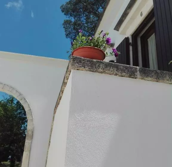 B&b Villa Rosanna