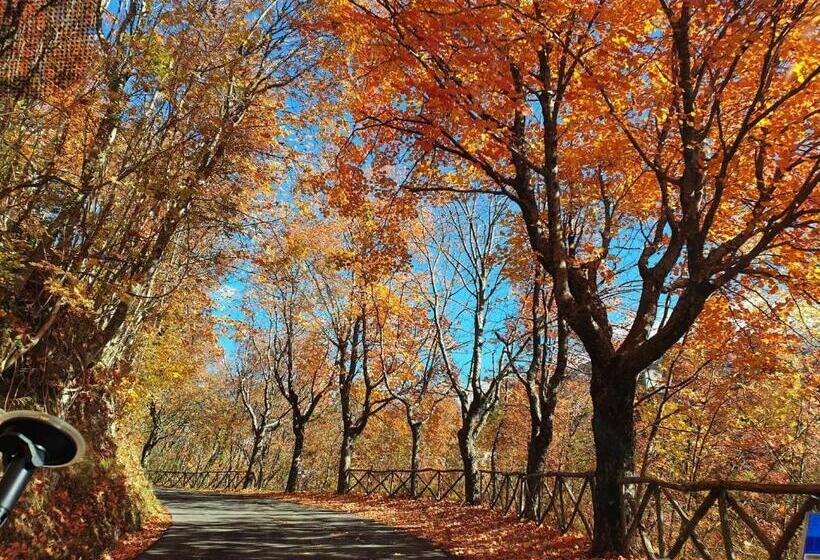 La Piccola Baita Di Filettino